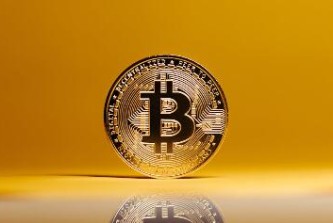 屎币今日行情_屎币今日价格最新行情_实时行情_今日最新走势