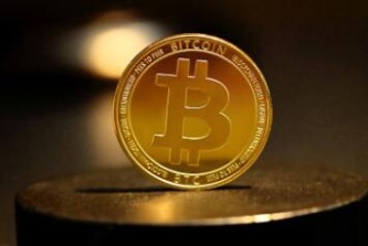 eos历史价格走势 柚子价格行情