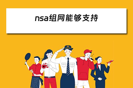 nsa组网能够支持